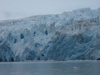 Tidewater Glacier